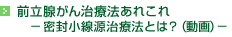 �O���B���񎡗Ö@���ꂱ��|�������������Ö@�Ƃ́H�i����j�|