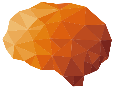 Brain Animation