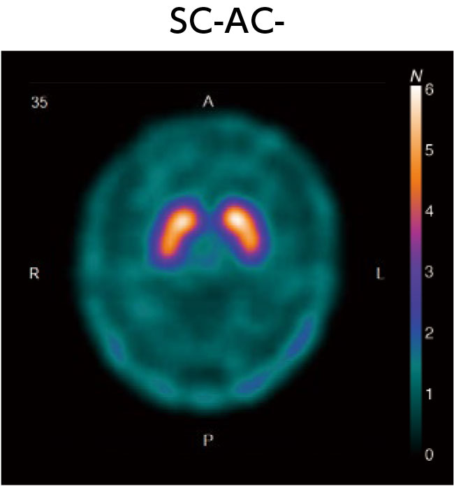 GE/ELEGP SC-AC-.jpg