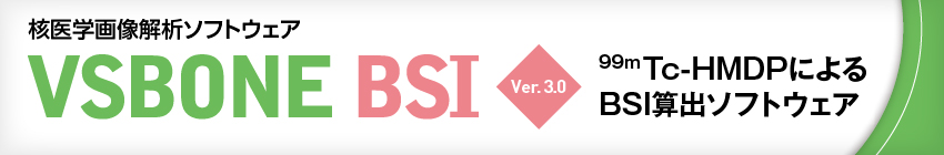 VSBONE BSI Ver.3.0 99mTc-HMDPによるBSI算出ソフトウェア