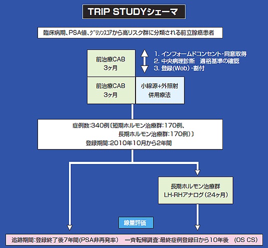 TRIP STUDYシェーマ