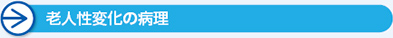 老人性変化の病理
