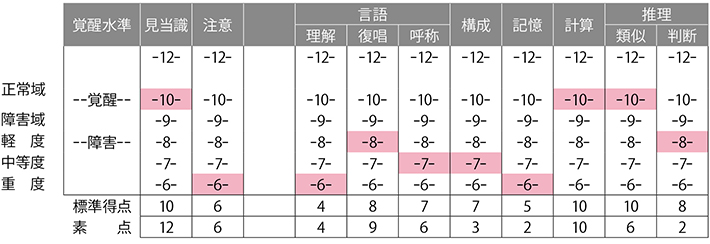 CONGNITIVE STATUS PROFILEの図