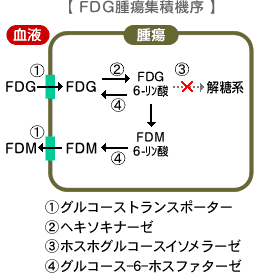 zu03.gif