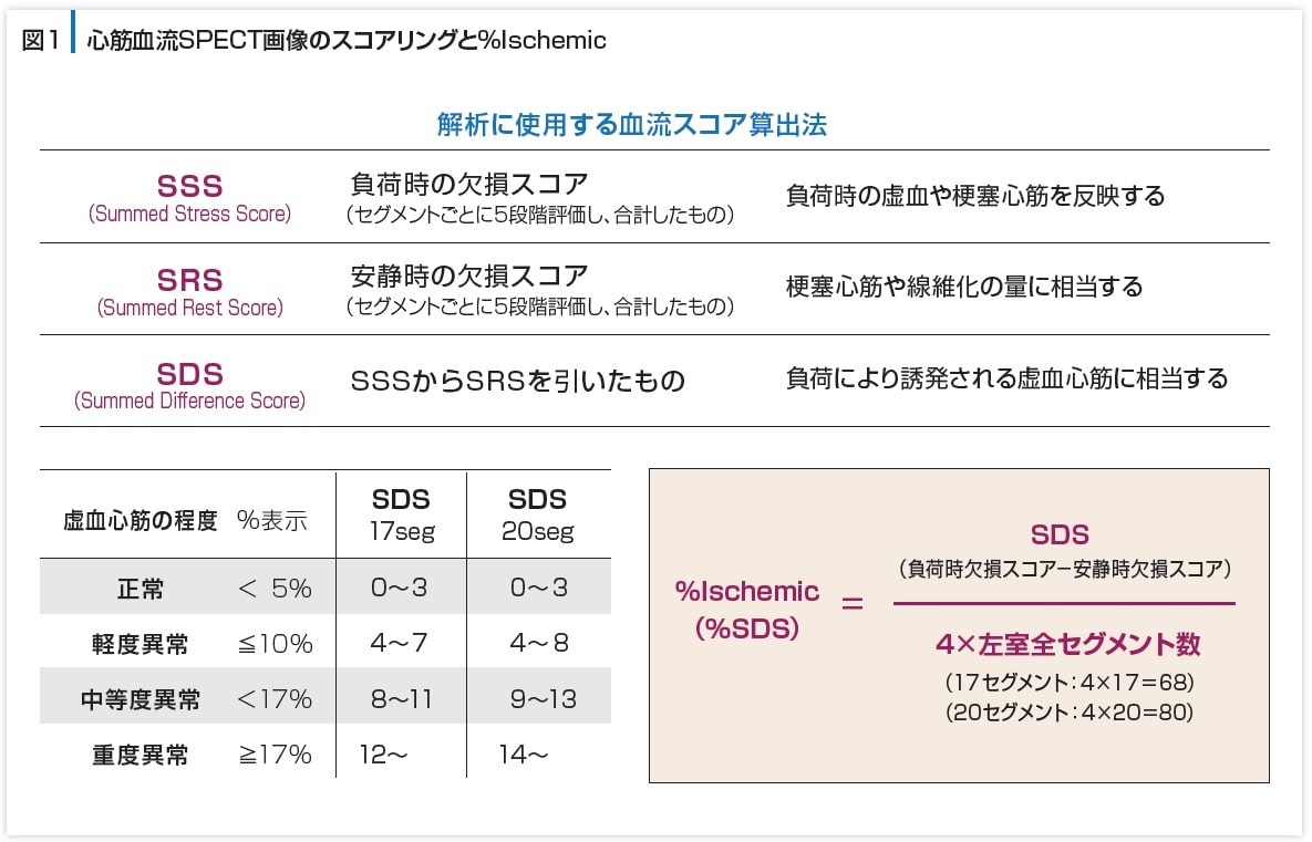 図1 心筋血流SPECT画像のスコアリングと%Ischemic