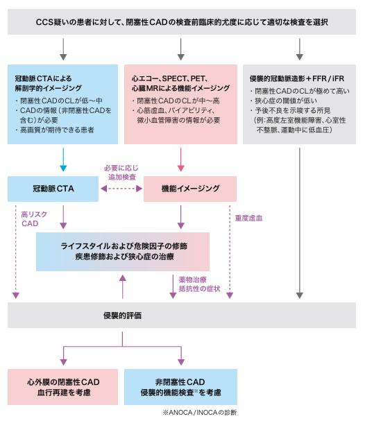 ESCガイドライン<sup>3)</sup>における慢性冠症候群の初期管理の考え方