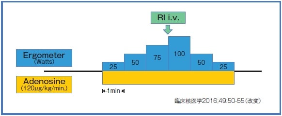 薬剤負荷+運動負荷の併用法（例）