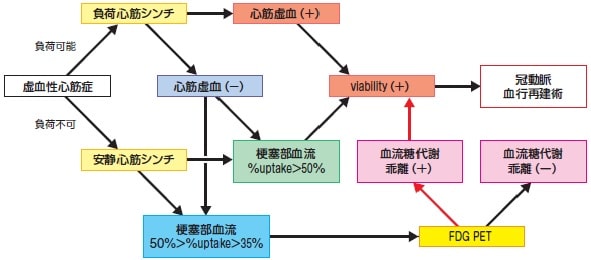 検査適応と治療方針のフローチャート　図