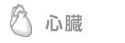 心臓
