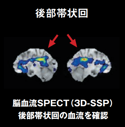 かっこ