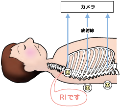 全身撮影のイメージ図