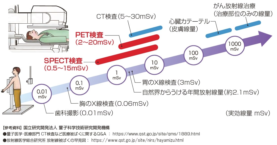 放射線の影響の図