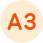 A3