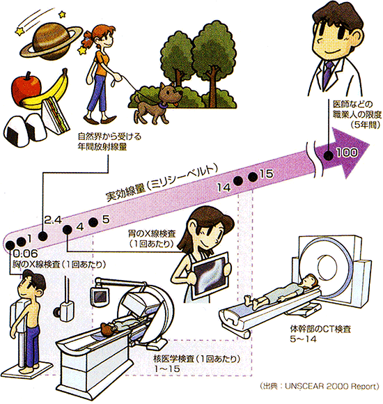 核医学検査で受ける放射線の量（心筋シンチグラフィ含む）