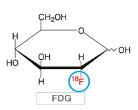 FDG化学構造式