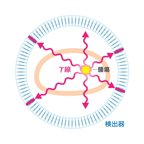 PETカメライメージイラスト