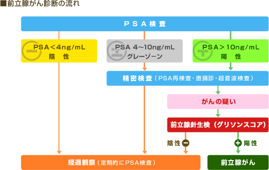 前立腺がん診断の流れの図