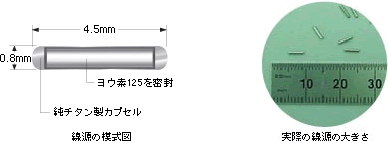 線源の模式図／実際の線源の大きさ