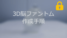 3D脳ファントム サムネイル