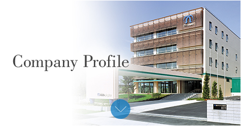 Company Profile